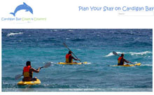 responsive mobile friendly websites